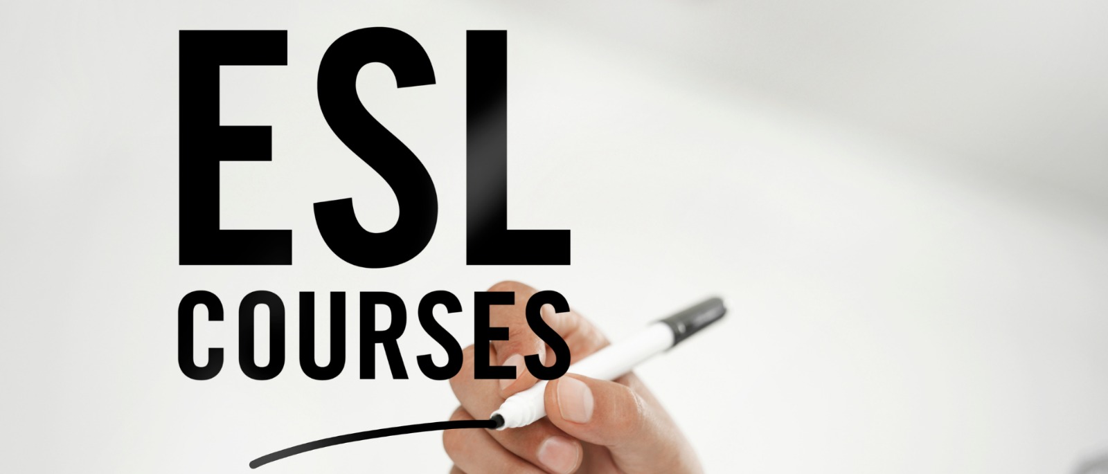 Best Education Consultant in UK | RAY Education